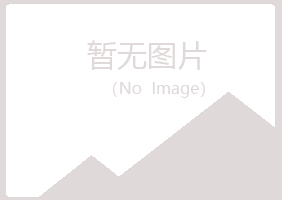 临川字迹工程有限公司